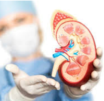 Procedure